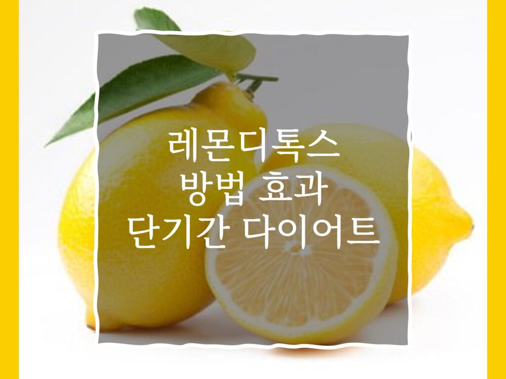 레몬디톡스 방법